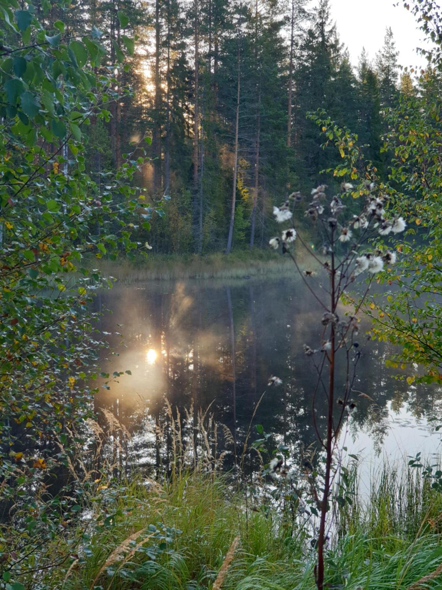 Apartmán Tyforsgarden Mjolnartorpet Exteriér fotografie