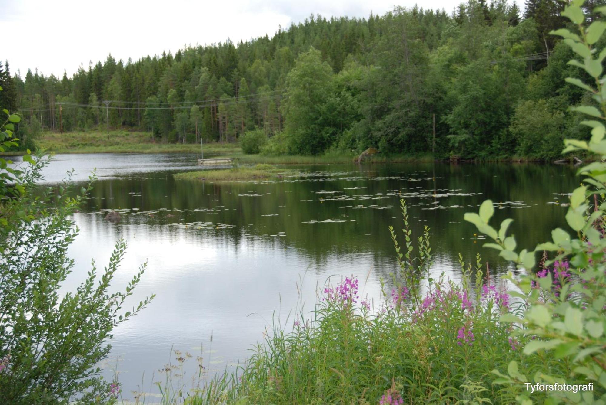 Apartmán Tyforsgarden Mjolnartorpet Exteriér fotografie